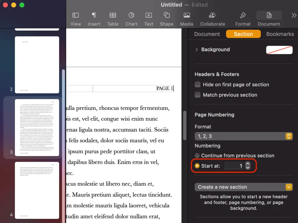 how-do-i-add-page-numbers-in-mac-pages-m-tech-wizard